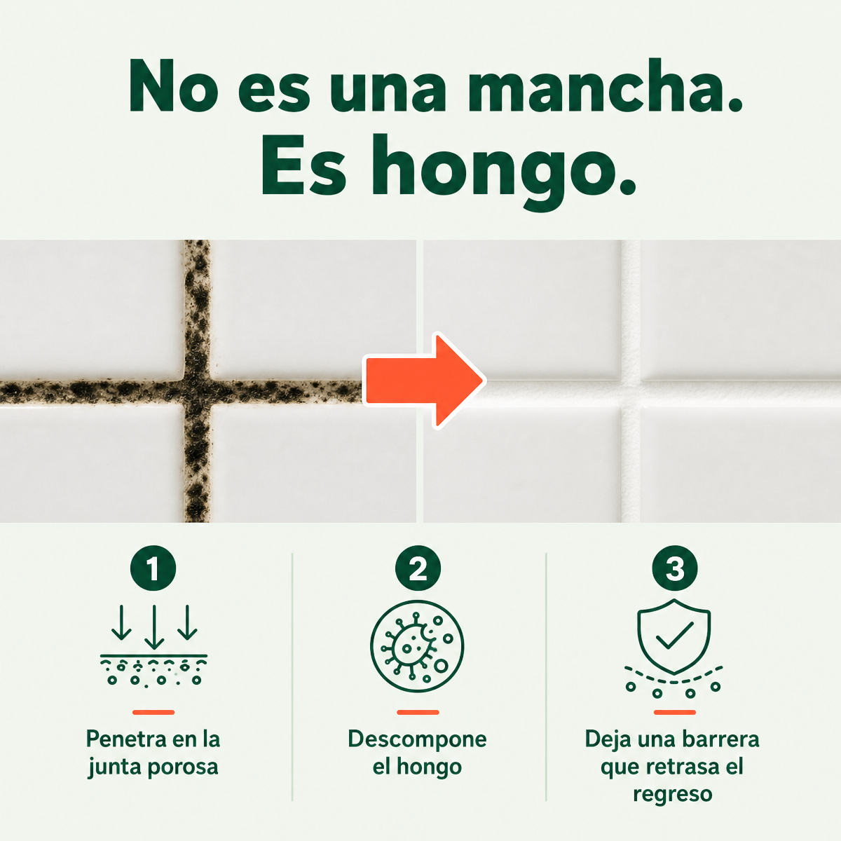 Como funciona