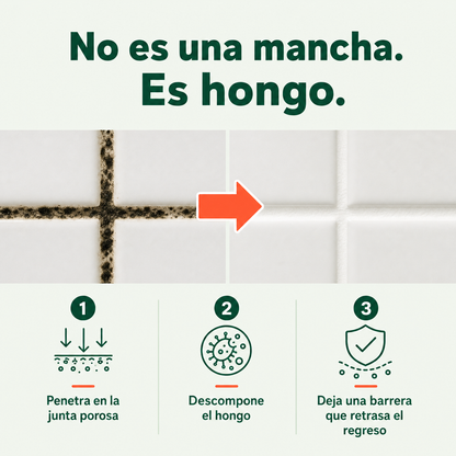 Como funciona